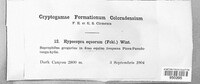 Image Associated With the Occurence